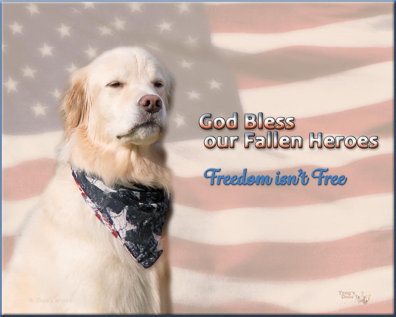 Golden Retriever with American Flag