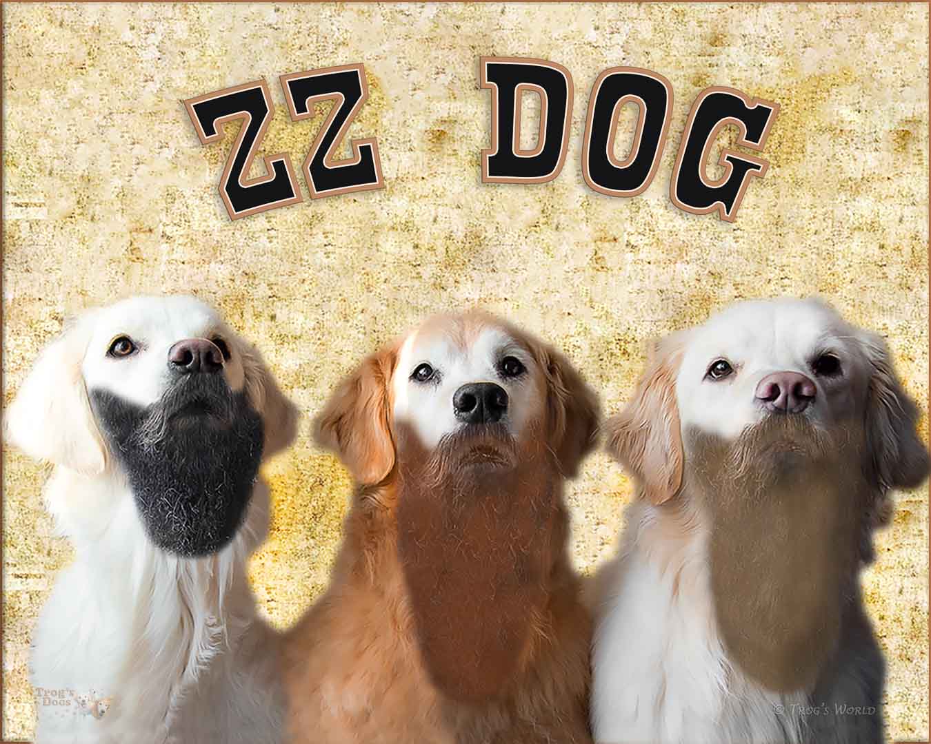 Golden Retrievers with Little Trog's Beard