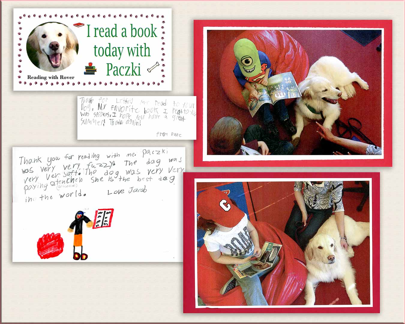 Letters to golden retriever therapy dog Paczki